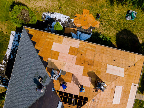 Best Gutter Installation and Roofing  in Parker, FL